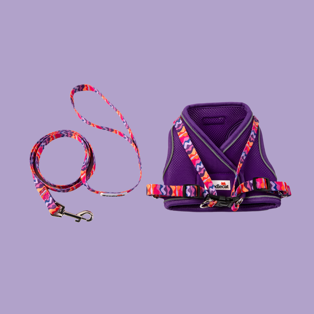 Cat Harness & Lead Set