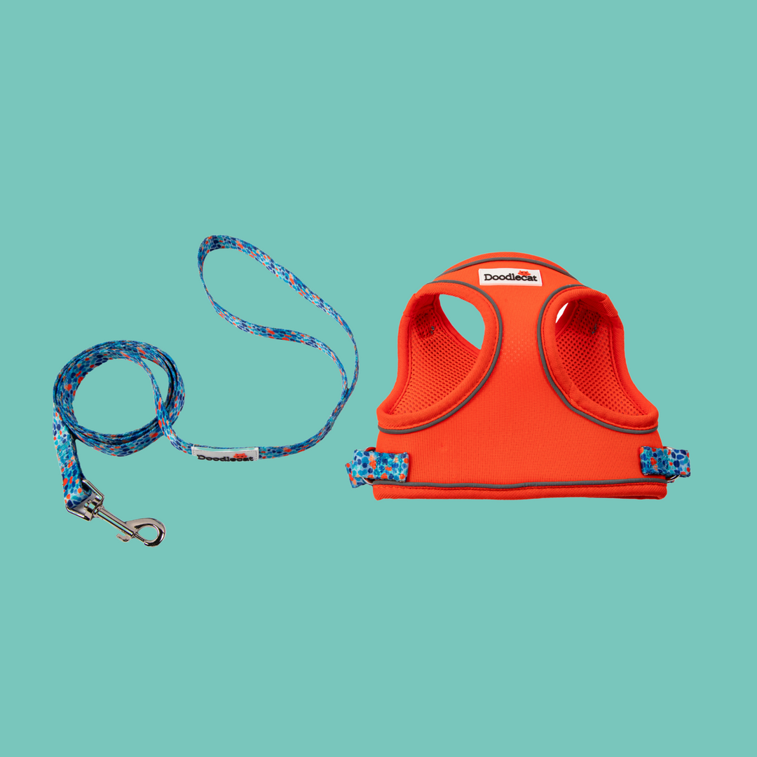 Cat Harness & Lead Set