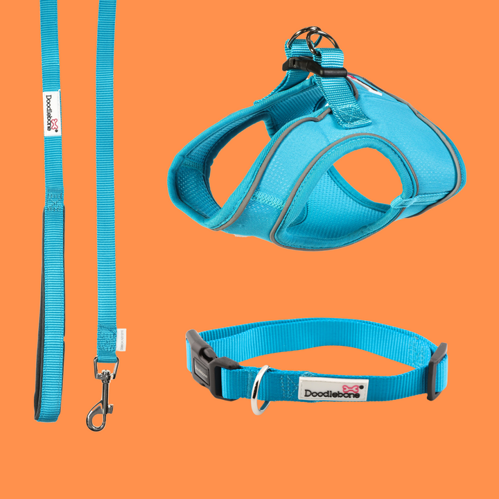 Aqua Snappy Harness, Collar & Lead Set