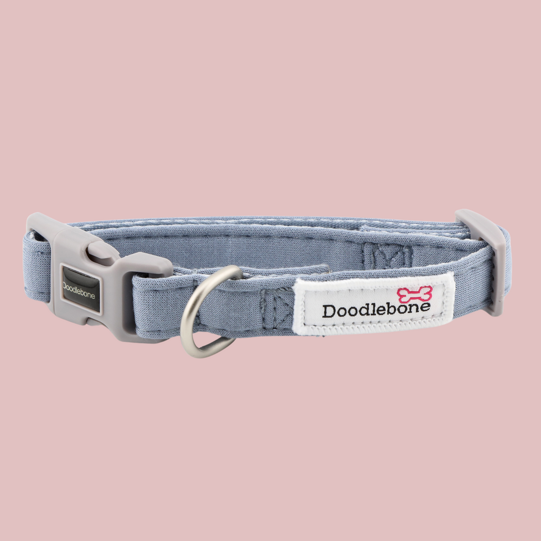 Chalky Blue Dinky Dog Snappy Harness, Collar, Lead & Treat Pouch Set