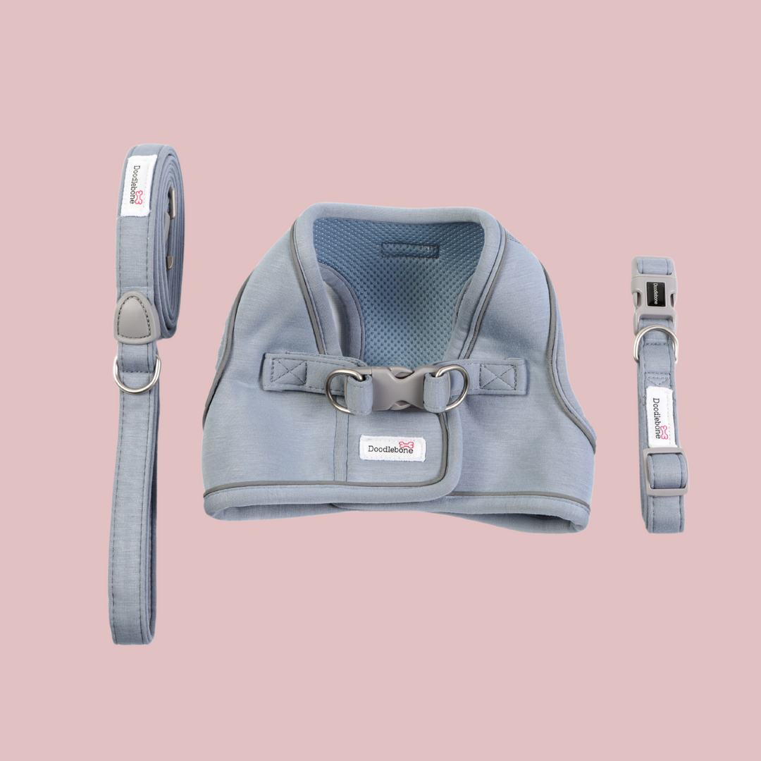 Chalky Blue Dinky Dog Snappy Harness, Collar & Lead Set