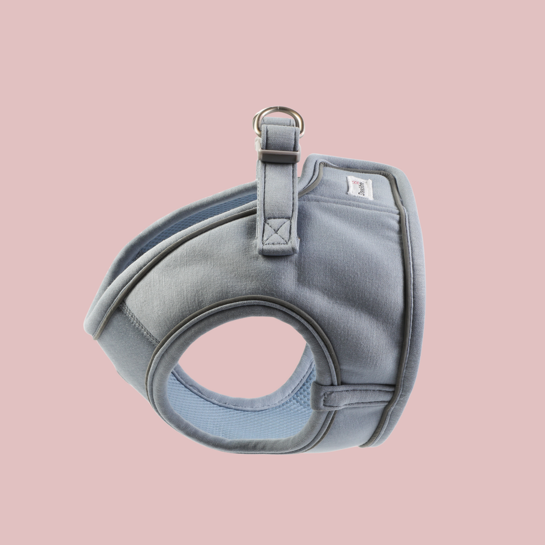 Chalky Blue Dinky Dog Snappy Harness, Collar, Lead & Treat Pouch Set