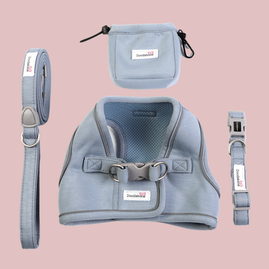 Chalky Blue Dinky Dog Snappy Harness, Collar, Lead & Treat Pouch Set