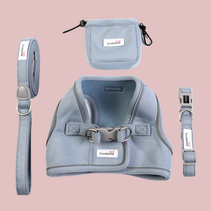 Chalky Blue Dinky Dog Snappy Harness, Collar, Lead & Treat Pouch Set