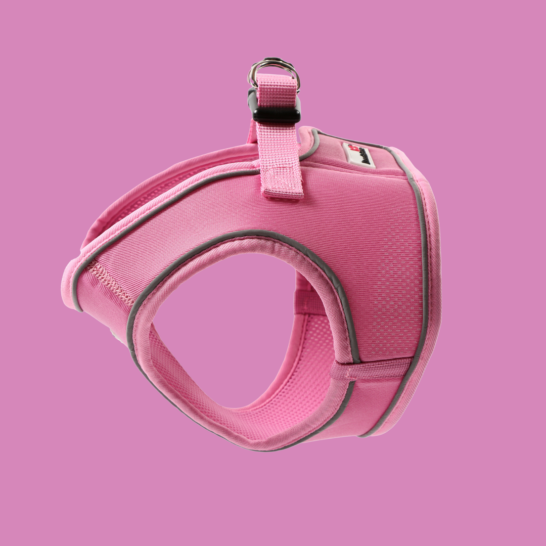 Blush Snappy Harness, Collar & Lead Set