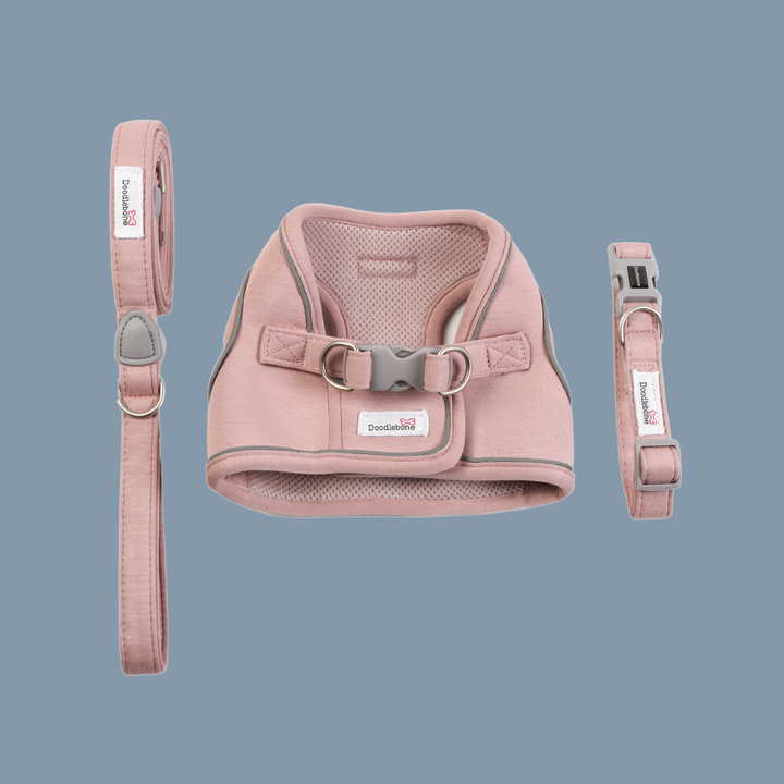 Chalky Pink Dinky Dog Snappy Harness, Collar & Lead Set