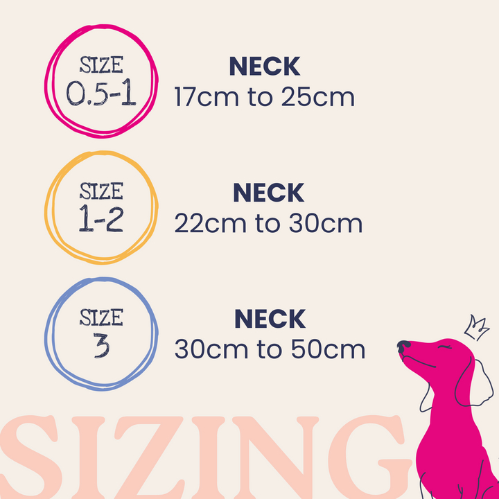 Chalky Pink Dinky Dog Snappy Harness, Collar & Lead Set