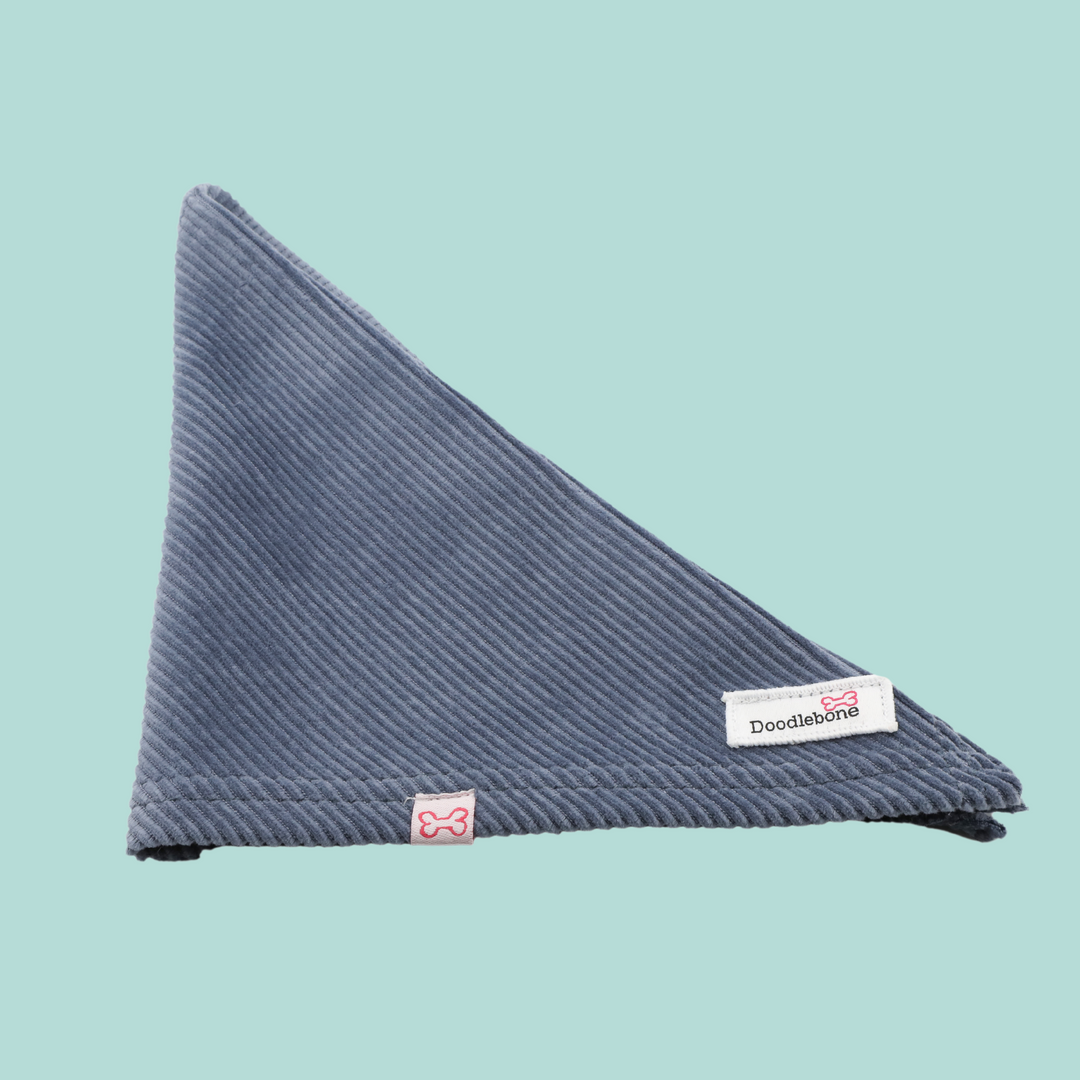Dinky Dog Bandana