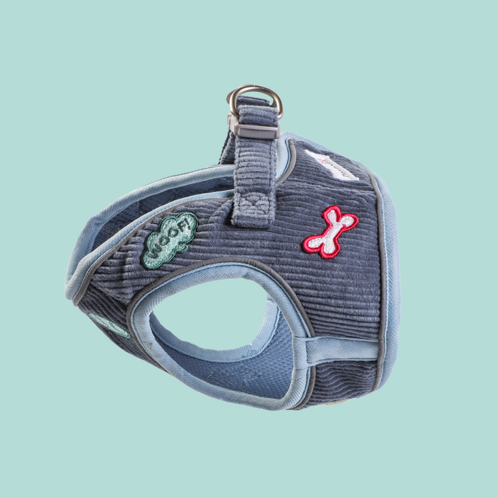 Blue Cord Dinky Dog Snappy Harness, Collar, Lead & Bandana Set