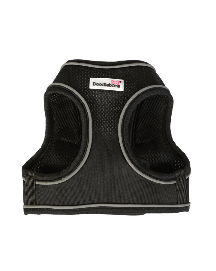 Coal Snappy Harness, Collar & Lead Set