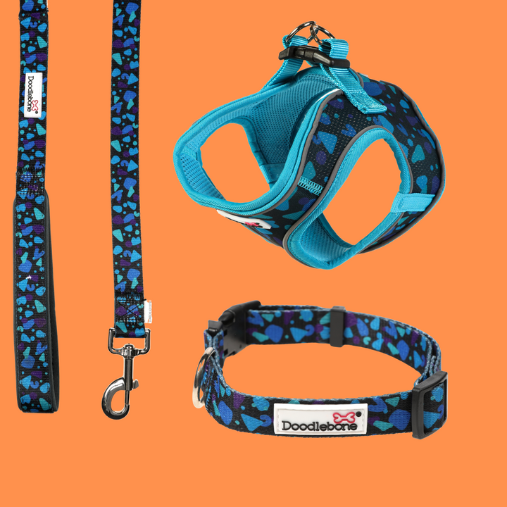 Electric Party Snappy Harness, Collar & Lead Set