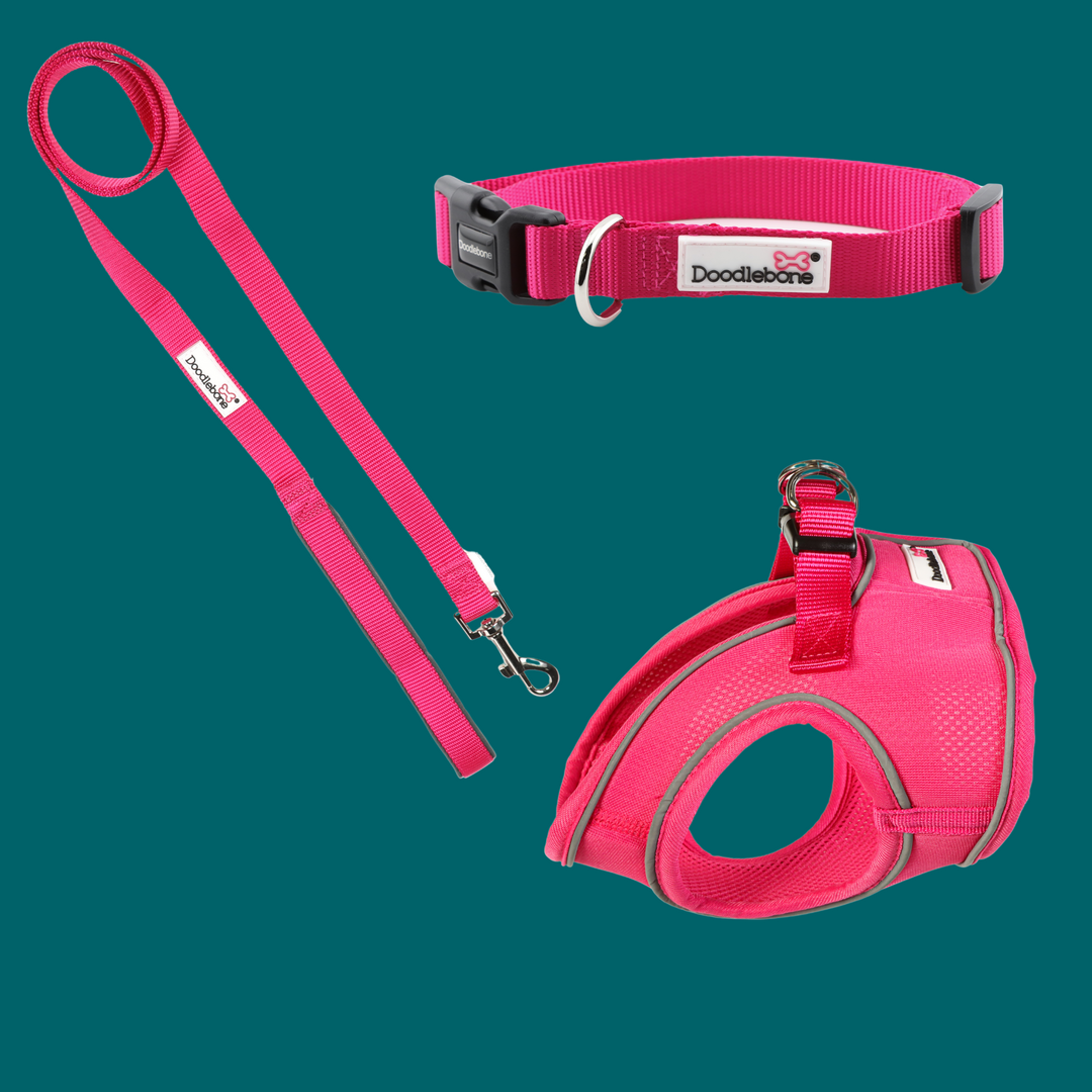 Fuchsia Snappy Harness, Collar & Lead Set