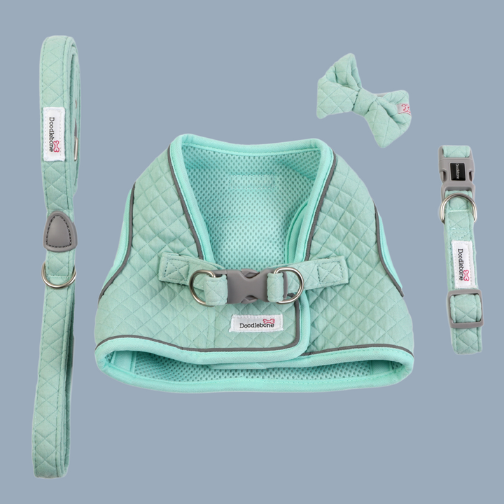 Mint Quilt Dinky Dog Snappy Harness, Collar, Lead & Bow Tie Set