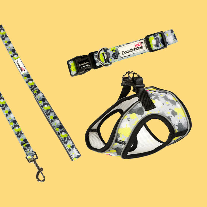 Neon Paint Splat Snappy Harness, Collar & Lead Set