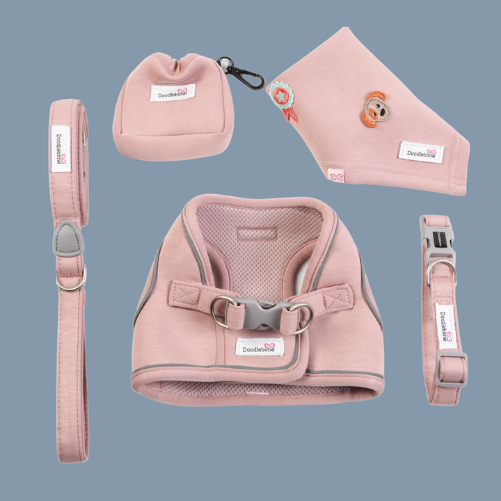Chalky Pink Dinky Dog Snappy Harness, Collar, Lead, Treat Pouch & Bandana Set