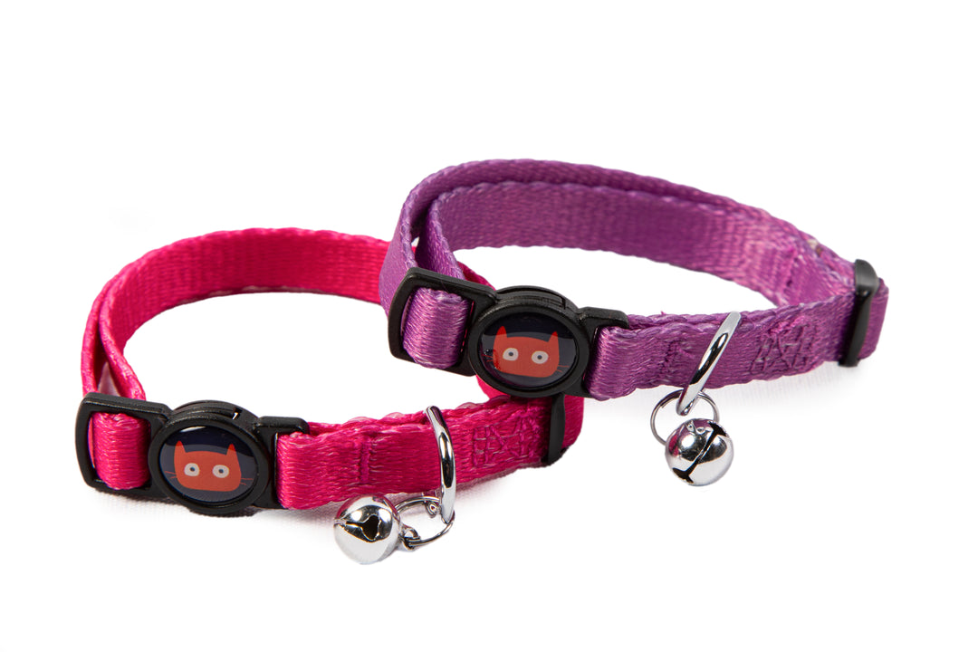 Cat Collar Duo