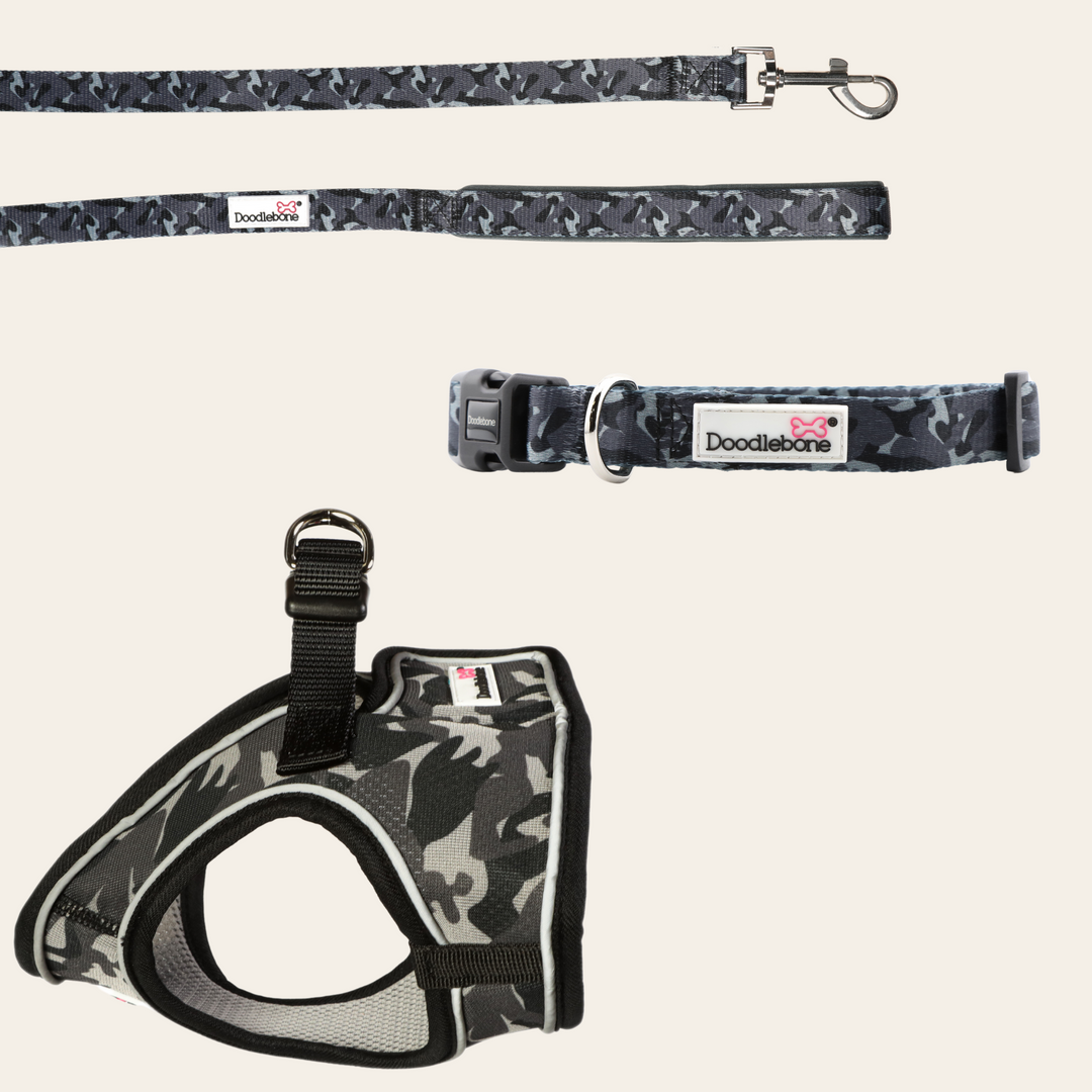 Smokey Camo Snappy Harness, Collar & Lead Set