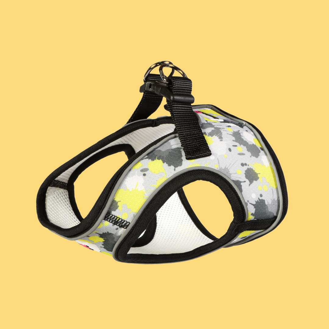 Neon Paint Splat Snappy Harness, Collar & Lead Set