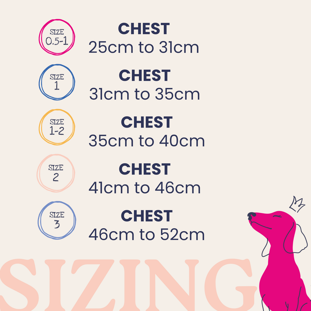 Chalky Pink Dinky Dog Snappy Harness, Collar & Lead Set