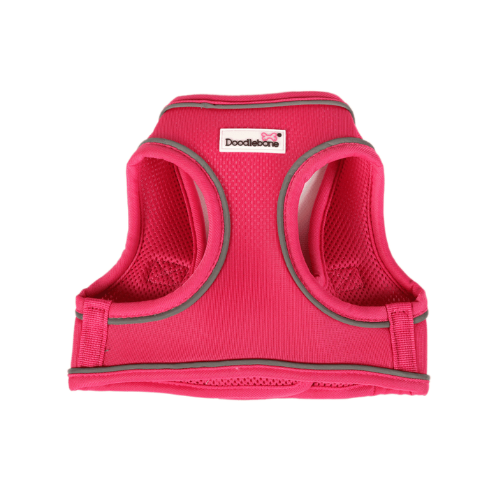 Fuchsia Snappy Harness, Collar & Lead Set