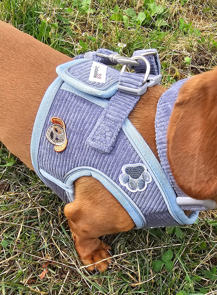Dinky Dog Snappy Harness