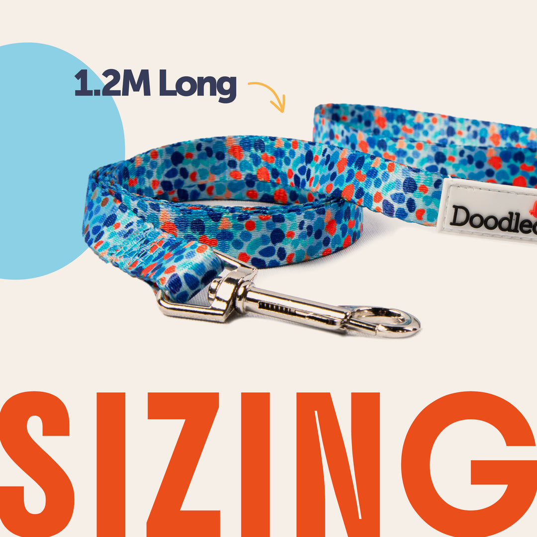 Cat Harness & Lead Set