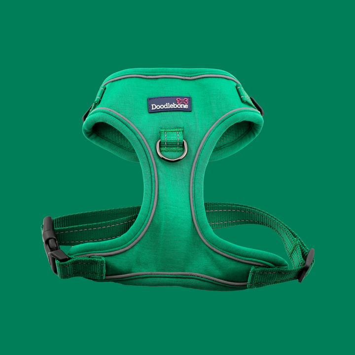 Forest Stomp Harness, Padded Collar & With Me Lead Set