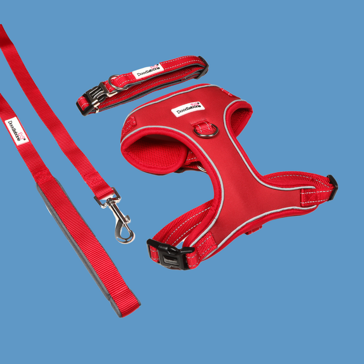 Ruby Adjustable Airmesh Harness, Padded Collar & Lead Set