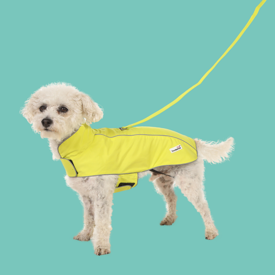 Doodlebone The Home of Colourful Dog Accessories