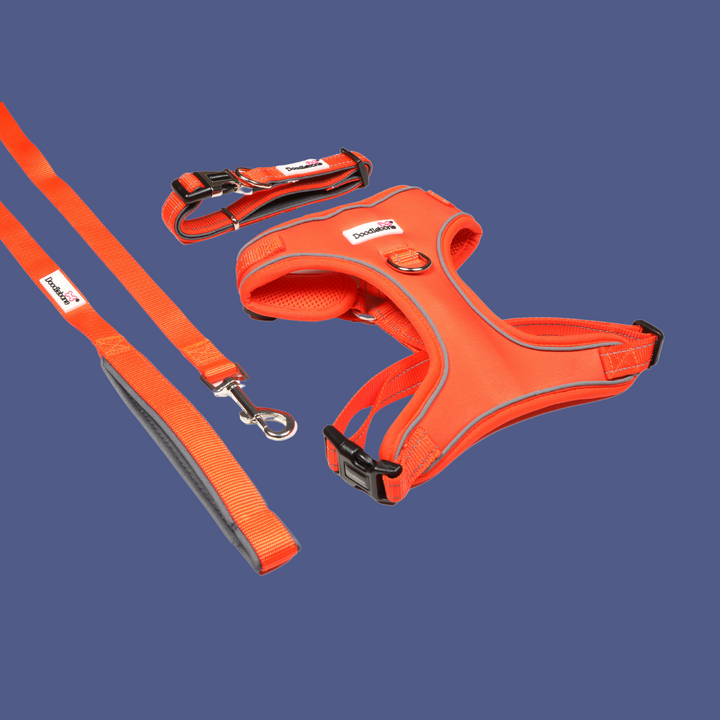 Tangerine Adjustable Airmesh Harness, Padded Collar & Lead Set