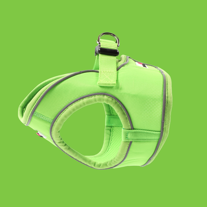 Snappy Harness