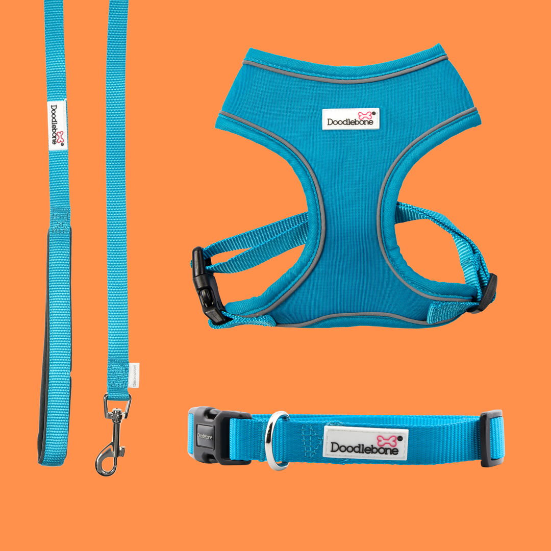 Aqua Airmesh Harness, Collar & Lead Set