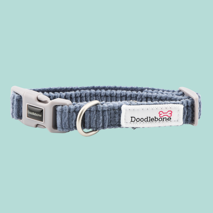 Blue Cord Dinky Dog Snappy Harness, Collar & Lead Set