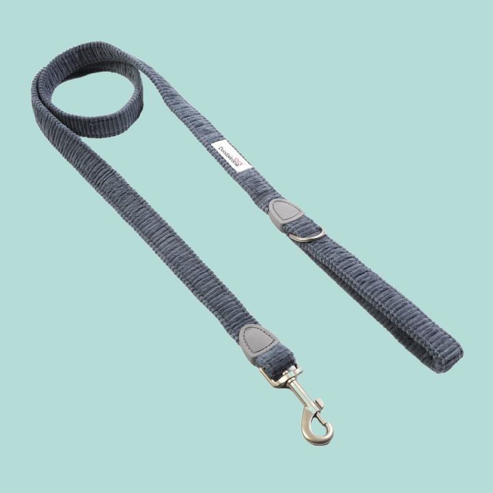 Dinky Dog Lead