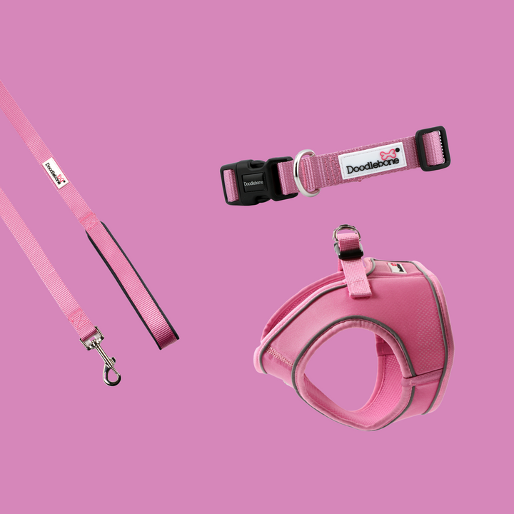 Blush Snappy Harness, Collar & Lead Set
