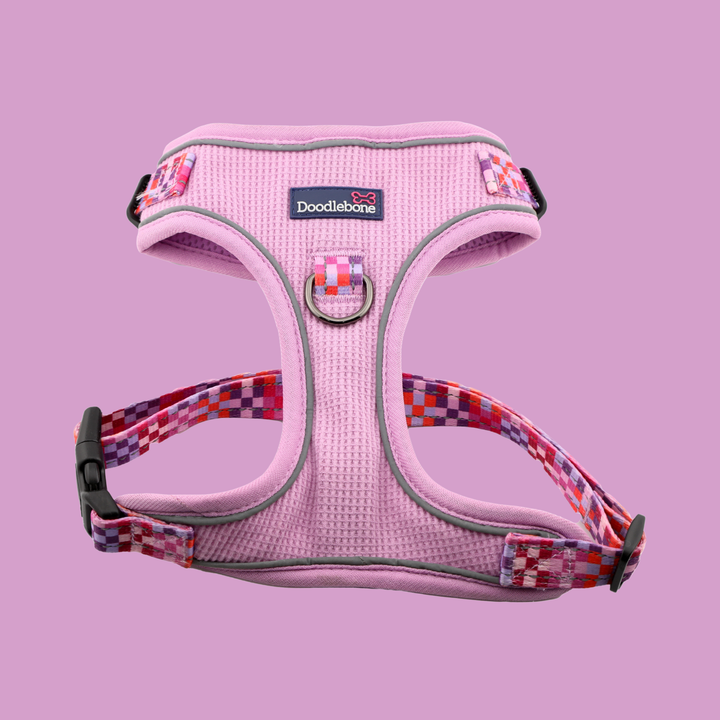 Stomp Harness