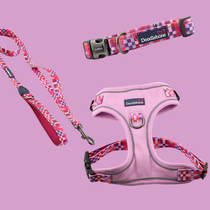 Blush Checkmate Stomp Harness, Padded Collar & With Me Lead Set