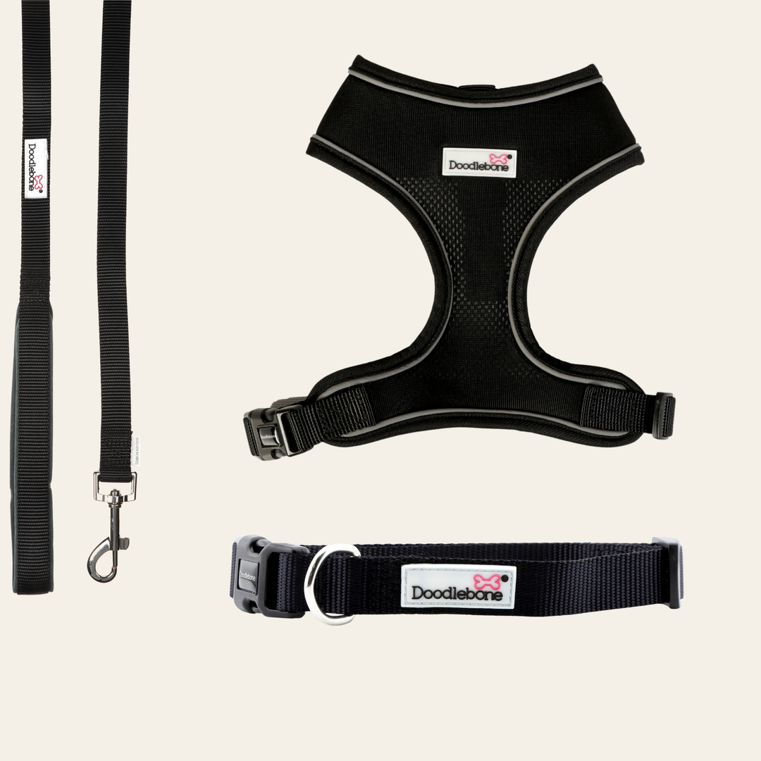 Coal Airmesh Harness, Collar & Lead Set