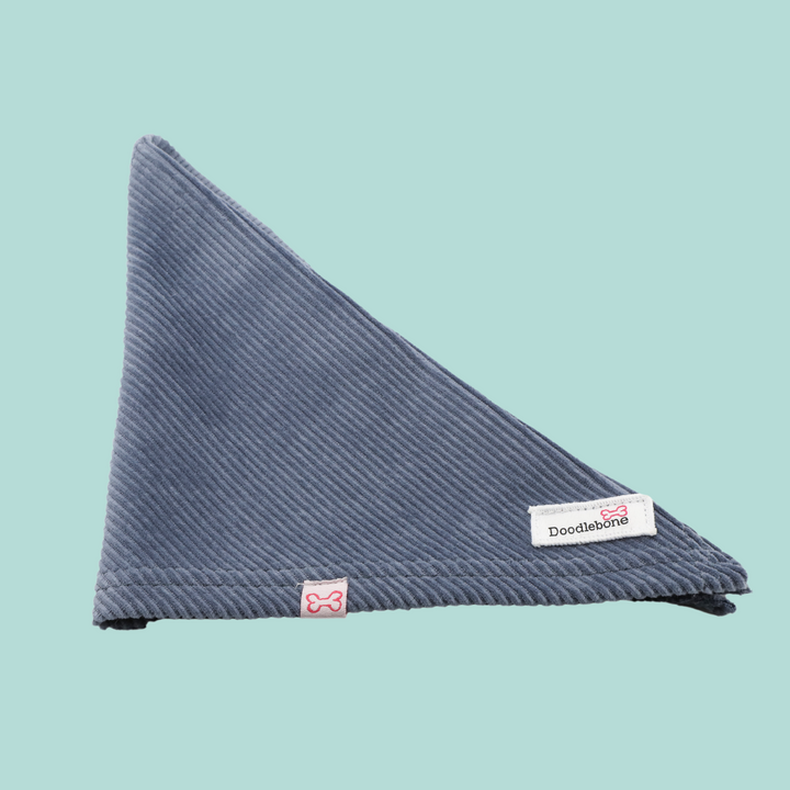 Dinky Dog Bandana