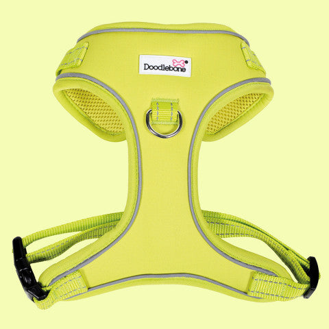 Adjustable Airmesh Harness