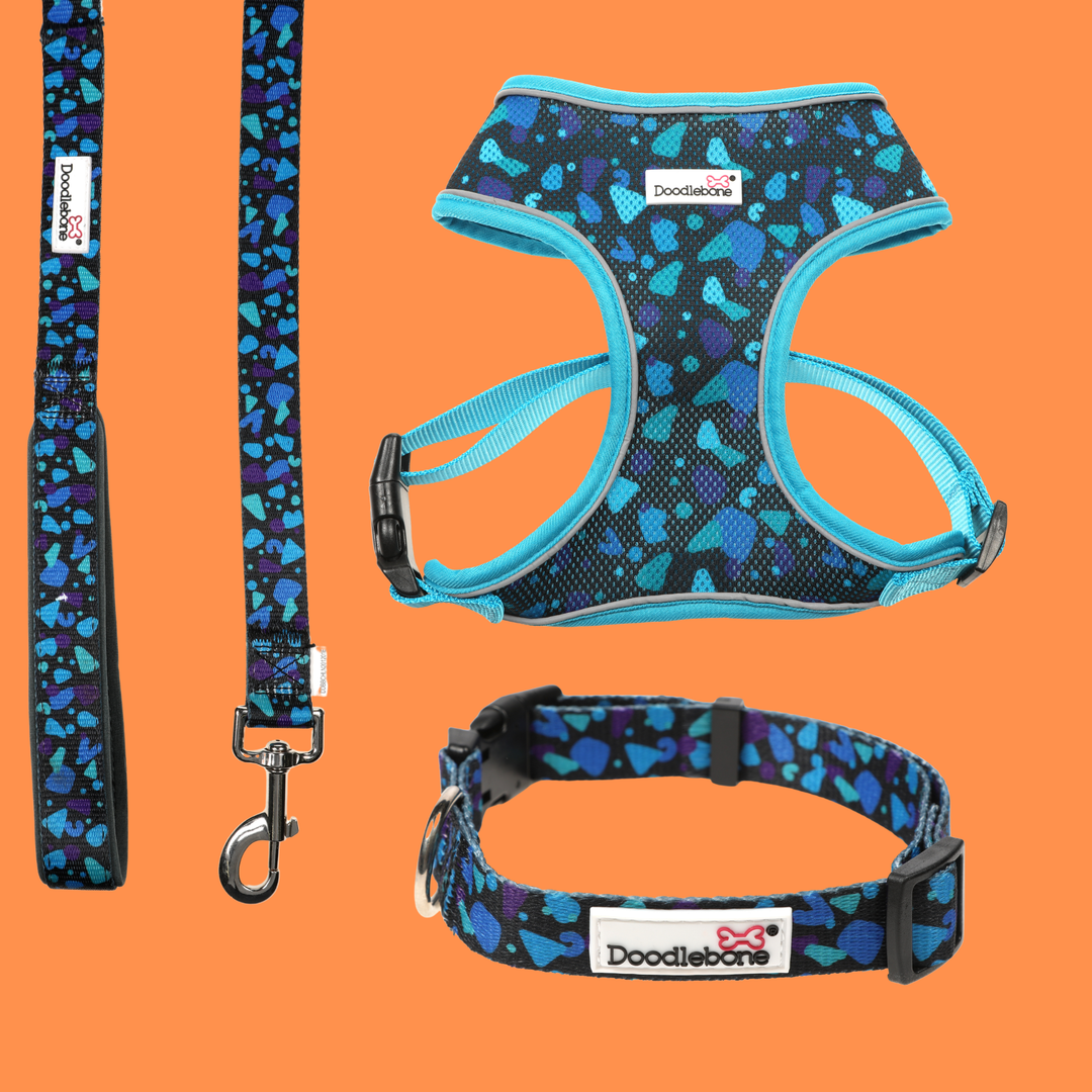Electric Party Airmesh Harness, Collar & Lead Set