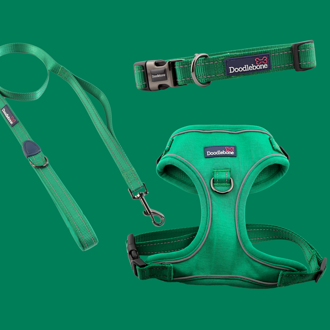 Forest Stomp Harness, Padded Collar & With Me Lead Set