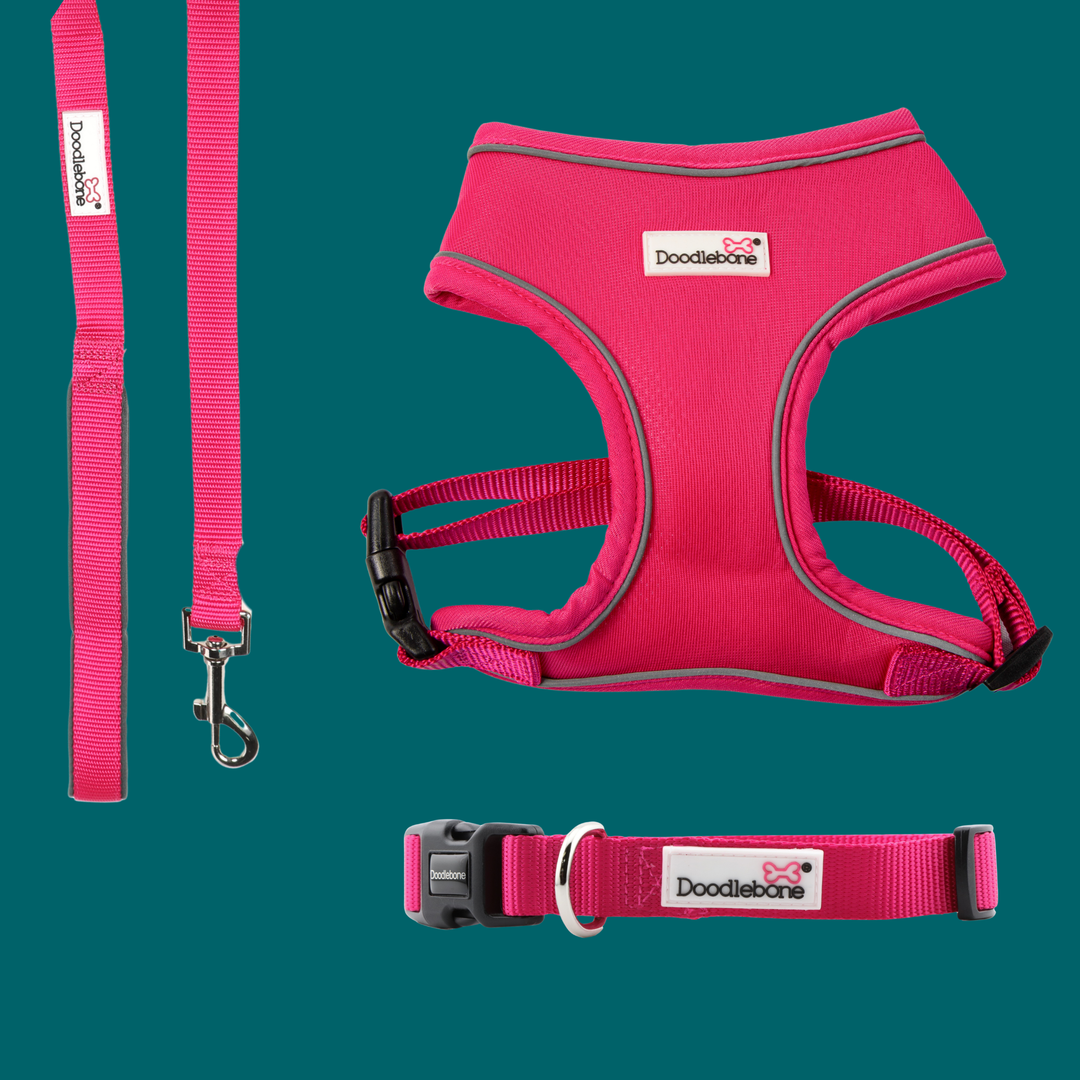 Fuchsia Airmesh Harness, Collar & Lead Set