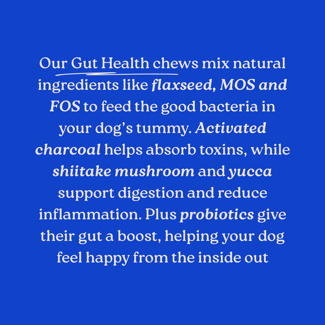 Nuri Vita Bites - Gut Health