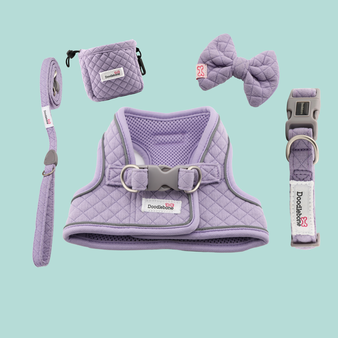 Lilac Quilt Dinky Dog Snappy Harness, Collar, Lead, Bow Tie & Treat Pouch Set