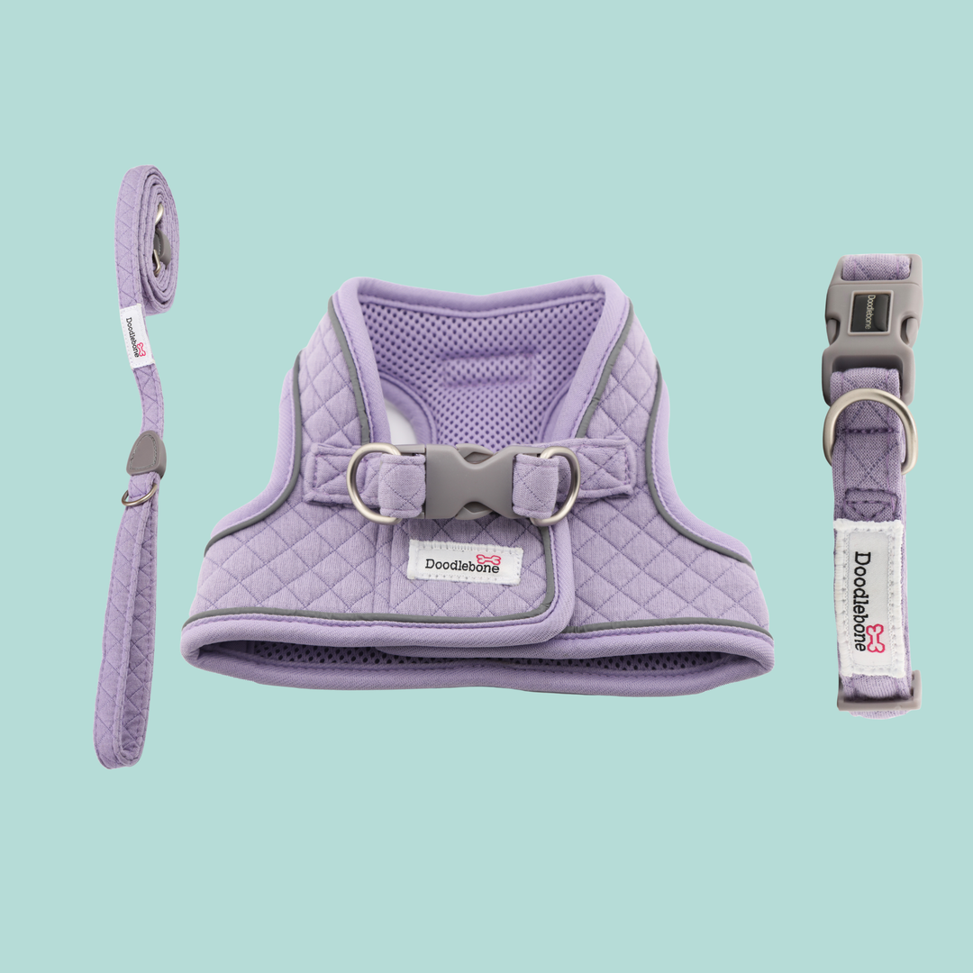 Lilac Quilt Dinky Dog Snappy Harness, Collar & Lead Set
