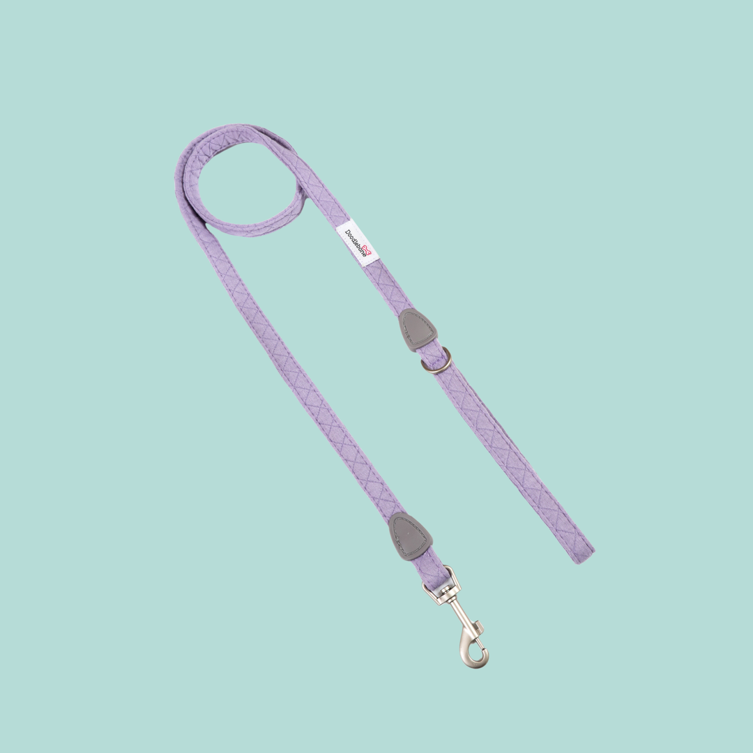 Dinky Dog Lead