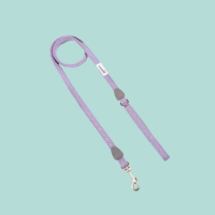 Dinky Dog Lead