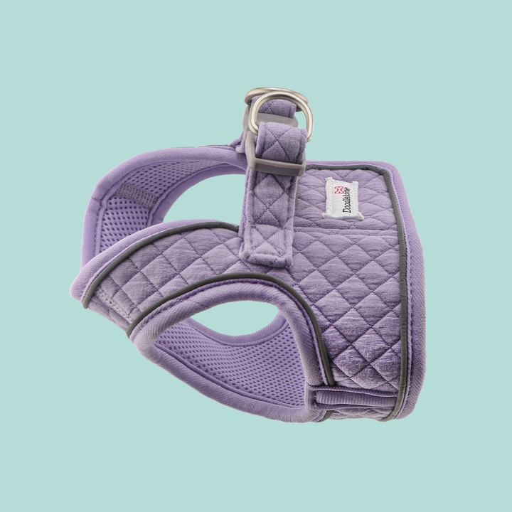 Dinky Dog Snappy Harness