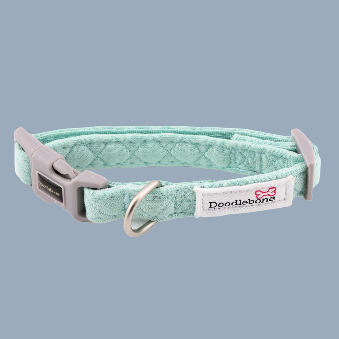 Mint Quilt Dinky Dog Snappy Harness, Collar, Lead & Bow Tie Set